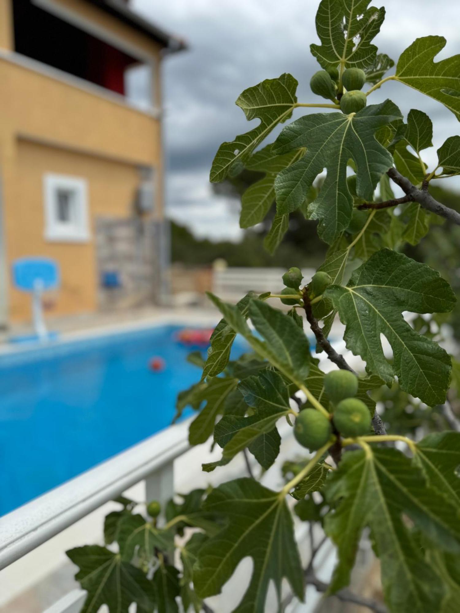 Holiday House Marija Skradin Exterior photo